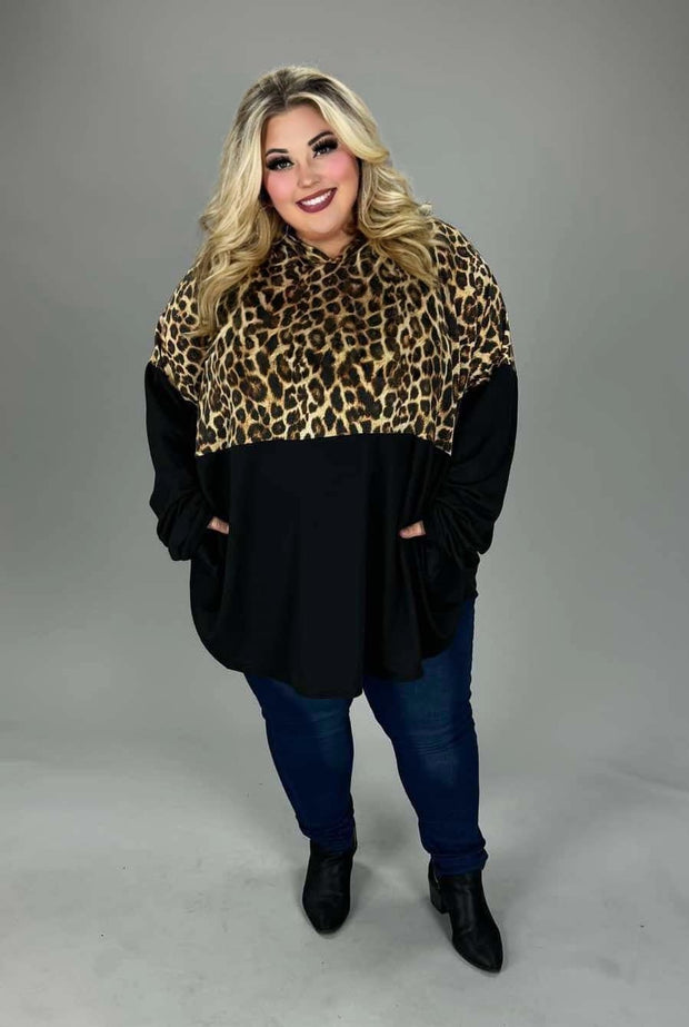 52 HD {Wild At Heart} Black Leopard Contrast Hoodie CURVY BRAND EXTENDED PLUS SIZE 4X 5X 6X