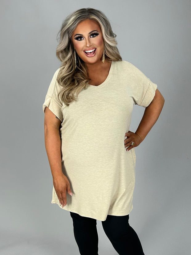 45 SSS-E {Simple Ease} Heather Beige V-Neck Top PLUS SIZE 1X 2X 3X