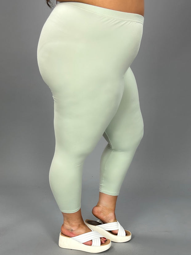 LEG-20 {Spring Time} SAGE Butter-Soft LEGGINGS