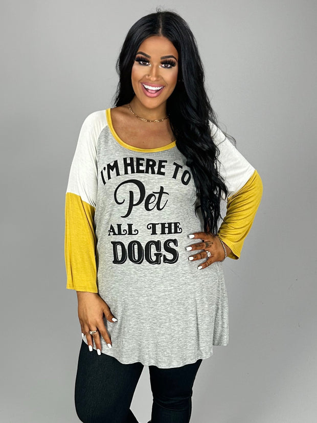 SALE!! GT-P "I'm Here To Pet All The Dogs" Raglan Tee