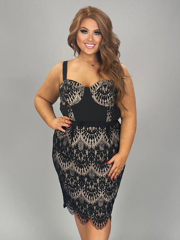 SALE!! SV-A  M-109   {City Chic} Black Lace Dress  Retail $ 169.00 PLUS SIZE 16W