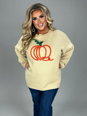 SALE! 20 GT {Pumpkin Swirl} Bone Sweater w/Pumpkin PLUS SIZE 1X 2X 3X