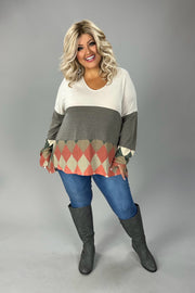 1- 56 CP-I {Unexpected Treat} Rust V-Neck Print Top PLUS SIZE 1X 2X 3X