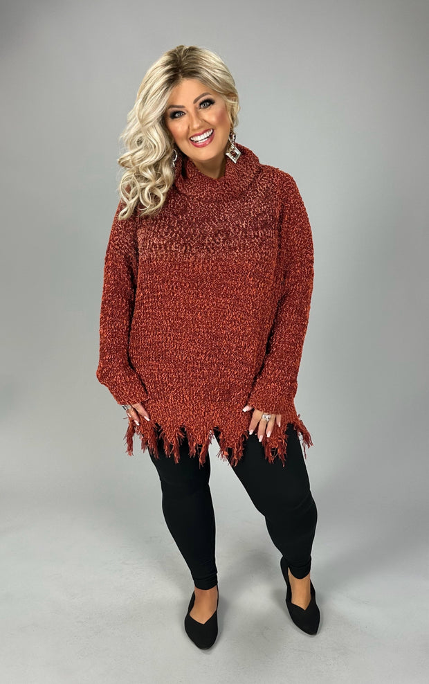 SALE!! 01-1-37 SLS-A {Long Winters} UMGEE Rust Turtleneck Sweater PLUS SIZE XL 1X 2X