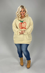 SALE! 20 GT {Pumpkin Swirl} Bone Sweater w/Pumpkin PLUS SIZE 1X 2X 3X