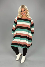 43 PLS {Embracing Cozy} Sage/Brown/Pink Striped Tunic EXTENDED PLUS 4X 5X 6X