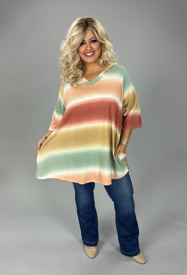 24 HD {Always Opinionated} Sage/Multi Gradient Stripe Hoodie EXTENDED PLUS SIZE 4X 5X 6X