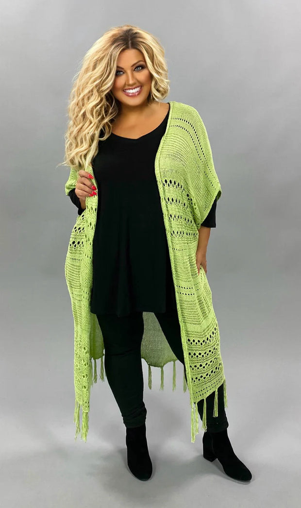 SALE!! OT-D (Sage Advice} Lt. Green Sweater With Fringe Detail & Back Lace Insert PLUS SIZE 1X 2X 3X