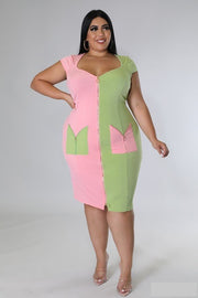 11 CP {Holding Hands} Pink/Sage Contrast Zippered MIdi Dress PLUS SIZE 1X 2X 3X