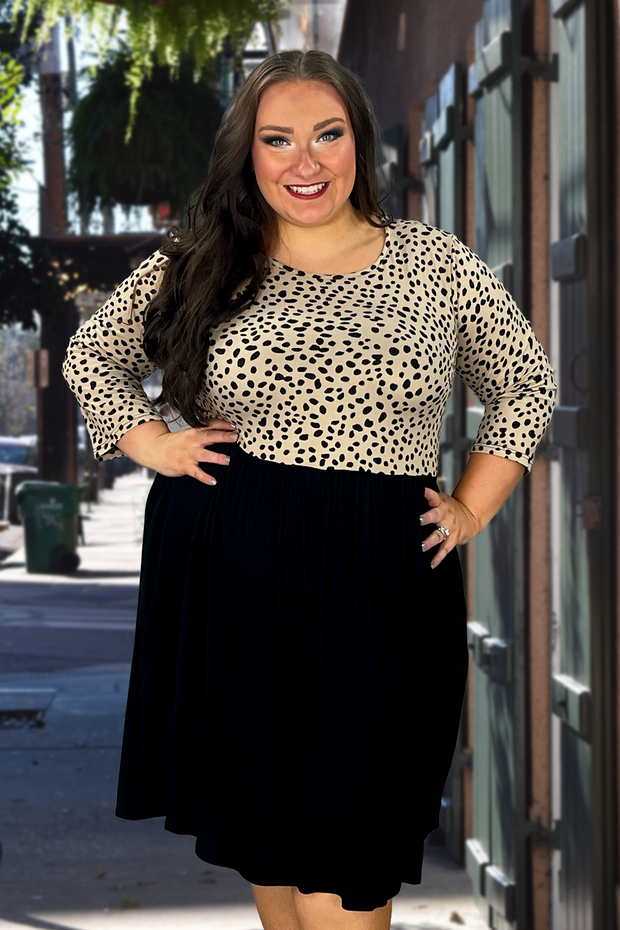 82 CP-C {Little Lady} Taupe/Black  Dalmatian  Print Dress (belt sold separately) PLUS SIZE 1X 2X 3X