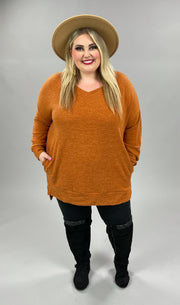 56 SLS-K {Cozy Nights} Almond  V-Neck Top PLUS SIZE 1X 2X 3X