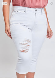 LEG-64 {Royalty For Me} White Ripped Capri Pants PLUS SIZE 14 16 18