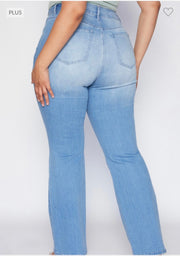 SALE!! LEG-95 {YMI} Light Blue High Rise Flare Jeans  PLUS SIZE 14 16 18 20